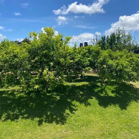 B&B Tenuta Turchi Nonno Brizio